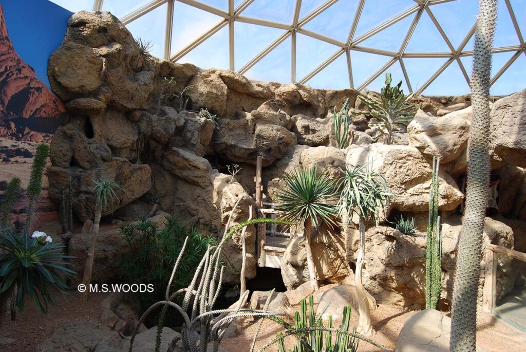 Deserts Biome at the Indianapolis Zoo in White River State Park in Indianapolis, Indiana