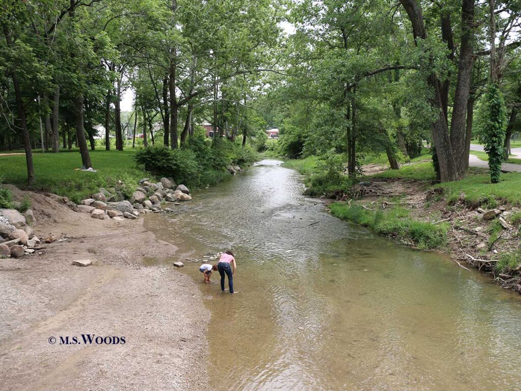 Ellis Park Stream in Danville, Indiana