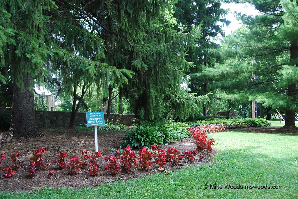 Hosta Garden at Holliday Park in Indianapolis Indiana