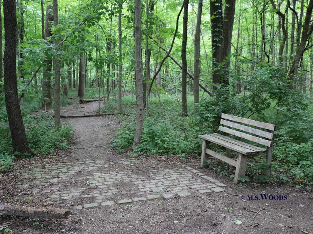 Park bench and walking trail through the woods at Maple Ridge Trail in Brownsburg, Indiana