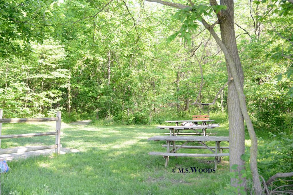 Picnic table and walking path in Richey Woods Nature Preserve in Fishers Indiana