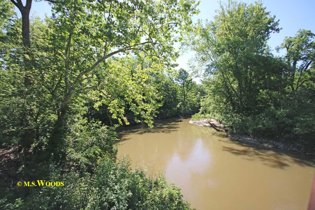 Stream running through Turkey Foot Park in Zionsville, Indiana