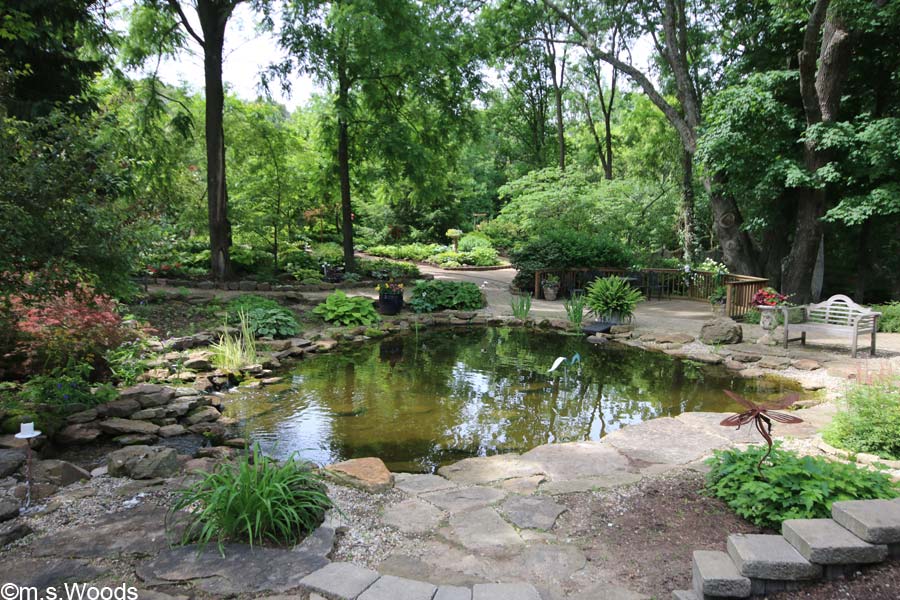 Pond at the Avon, Indiana Perennial Gardens