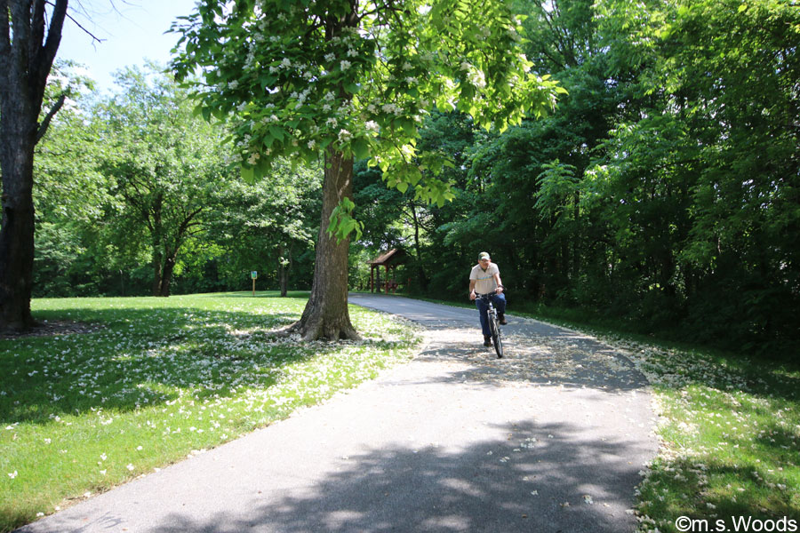 Bicycling at Asa Bales Park in Westfield, Indiana