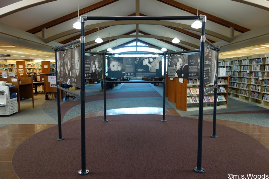 A view inside of the Brownsburg Library in Brownsburg, Indiana