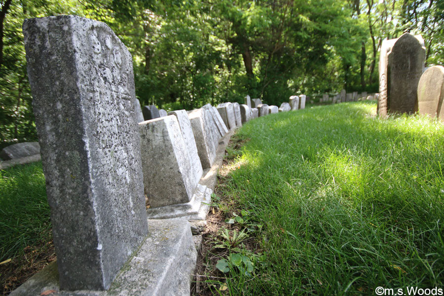 Gravestones in a line at the Old Friends Cemetery Park in Westfield, Indiana