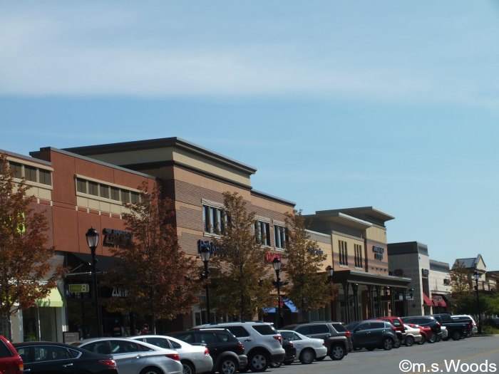 Street view of Hamilton Town Center in Noblesville, Indiana