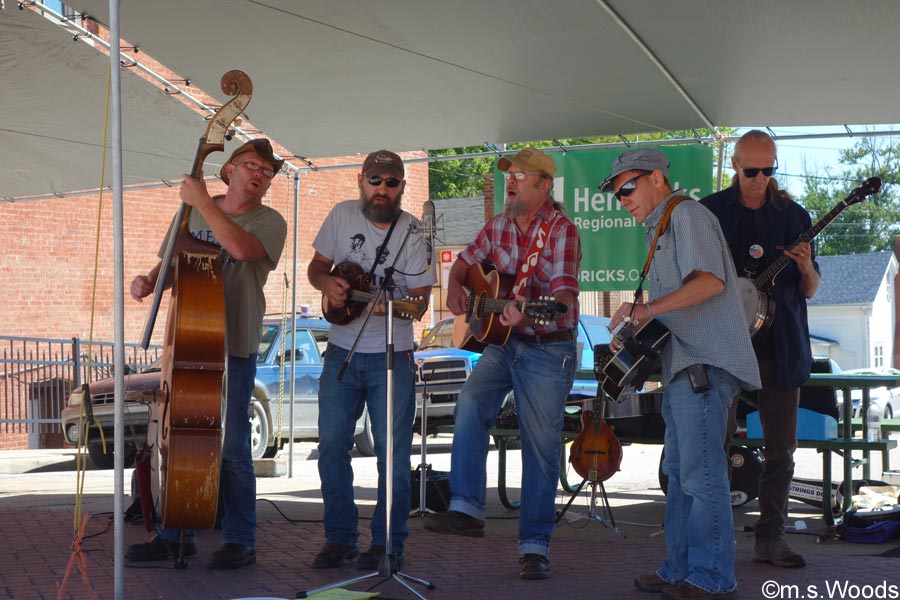 Musicians perform at the Fair on the Square in Danville, Indiana