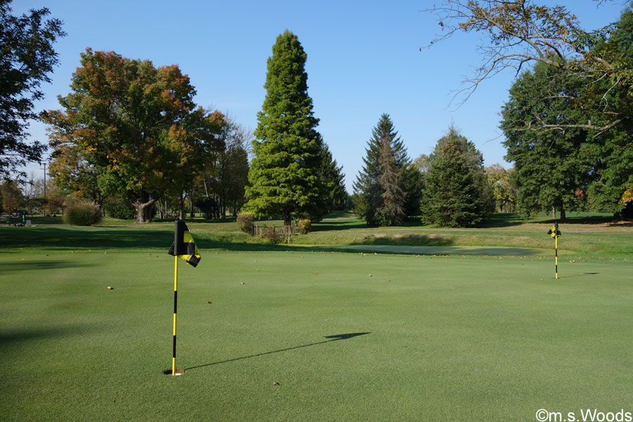 Putting green at the Eagle Pines Golf Club in Mooresville, Indiana