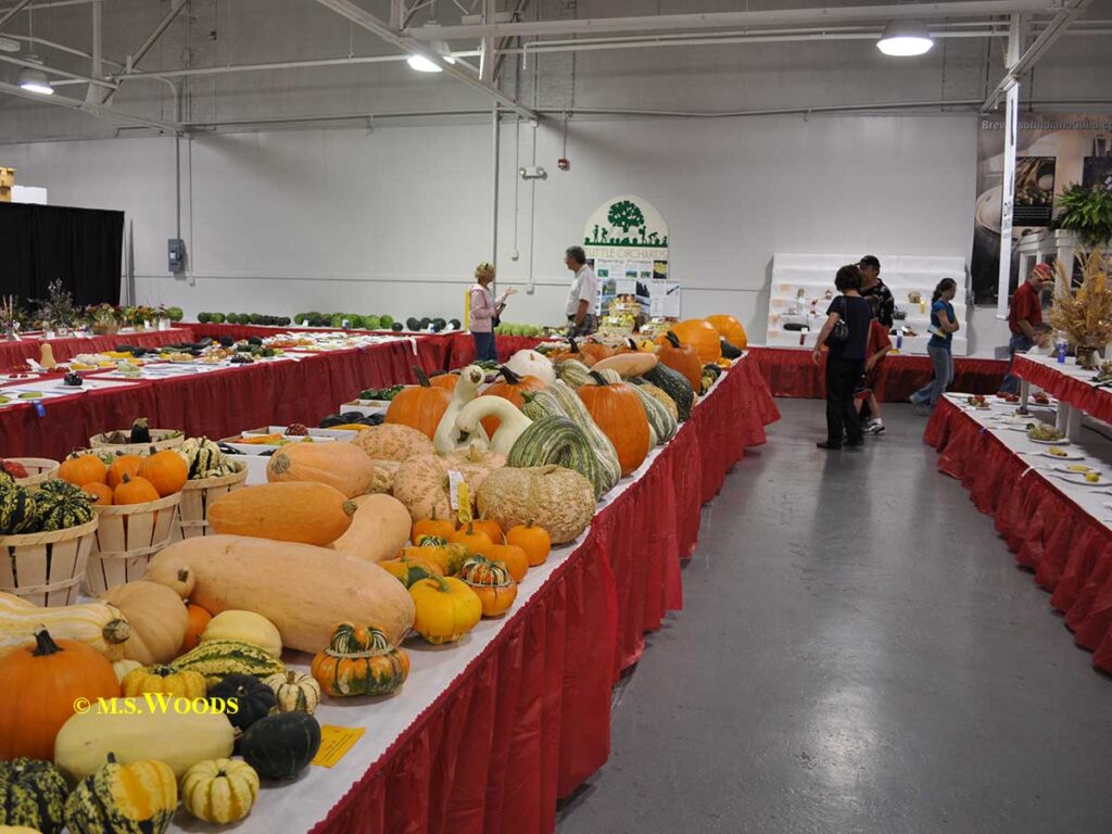 Squash and gourds at the Indiana State Fair in Indianapolis, Indiana