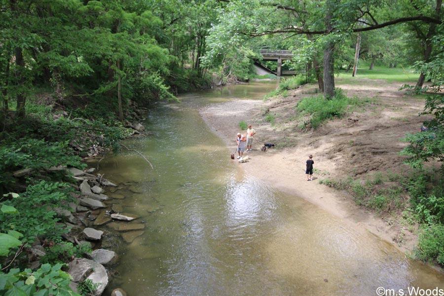 Tranquil stream in Ellis Park in Danville, Indiana