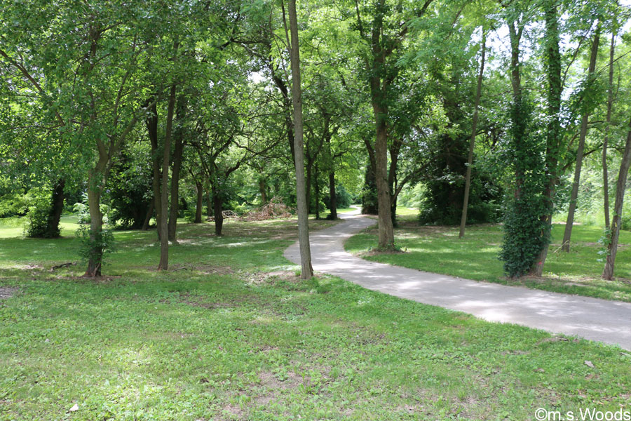 Wooded trail at Whitelick Creek Trail in Plainfield, Indiana