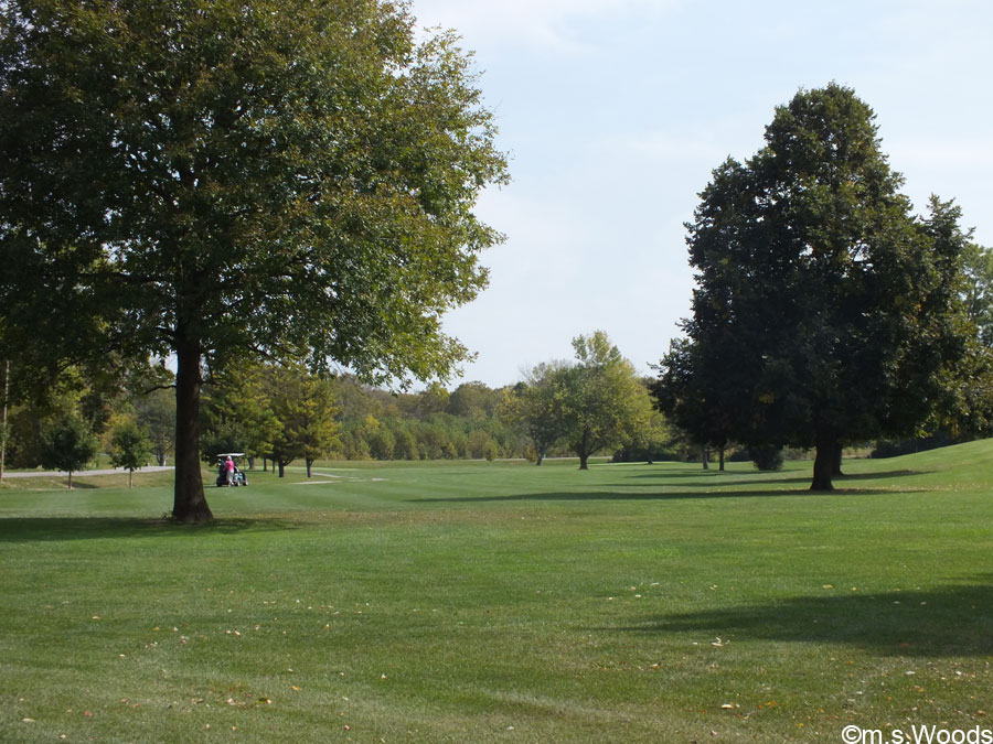 Fairway and trees at the Zionsville Golf Course in Zionsville, Indiana