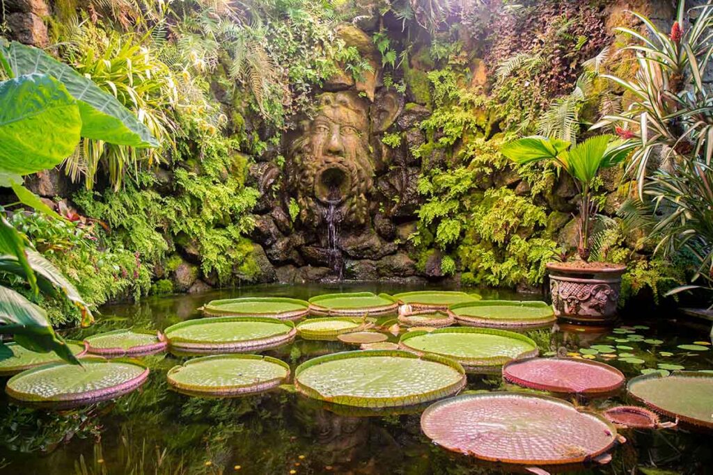 Botanical Gardens Naples Florida